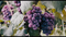 EverythingEverywhereAllAtOnce-51.png (image/png, 887463 B)