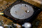 PCmacros000-001.jpeg (image/jpeg, 1688966 B)