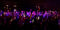 PrinceWhatevererGalaCon2024-_MG_5392.b.JPG (image/jpeg, 325880 B)