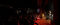 PrinceWhatevererGalaCon2024-_MG_5408.b.JPG (image/jpeg, 191197 B)