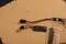 Tardie Clock-IMG_6936.JPG (image/jpeg, 2617543 B)