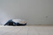 A Blåhaj lying on its back on a speaker and a small amplifier connected to a phone in an otherwise empty room.