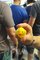 Derpyfest2018-IMG_20180610_1013080.jpg (image/jpeg, 88540 B)