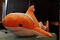 I found orangehaj. Nemo is not in this picture. What a confusing plush. Sold to another vendor. The maker of this shark had also some other uncommon plush items.