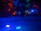 WAMP2022-Poolbunt.jpg (image/jpeg, 1591987 B)