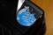 WAMP2023_makro-_MG_1674b.JPG (image/jpeg, 6087050 B)