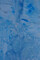 WAMP2023_makro-_MG_1736b.JPG (image/jpeg, 5051499 B)