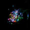 WAMP2024-_MG_5966.JPG (image/jpeg, 395065 B)
