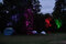WAMP2024-_MG_5984.JPG (image/jpeg, 861240 B)