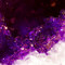 gemmacro-2.jpeg (image/jpeg, 312135 B)