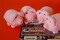 Häkelschwein-19075160.jpg (image/jpeg, 441723 B)