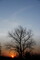 Landscapes-IMG_2046.b.jpg (image/jpeg, 2848666 B)