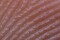 Macro Pictures-IMG_4429b.jpeg (image/jpeg, 141767 B)