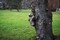 Random Nature Photos-IMG_0243.b.JPG (image/jpeg, 3228135 B)
