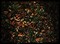 Random Nature Photos-IMG_2299_b_1000_r_2.JPG (image/jpeg, 307976 B)