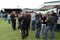 Rock im Wingert 2011-IMG_5685(1).JPG (image/jpeg, 505522 B)