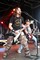 Rock im Wingert 2011-IMG_6787(1).JPG (image/jpeg, 629808 B)