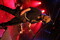 Rock im Wingert 2012 - Hämatom-IMG_7726.JPG (image/jpeg, 839055 B)