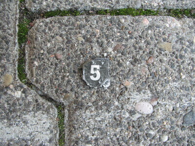 5s-img_2539.jpg (image/jpeg, 388930 B)