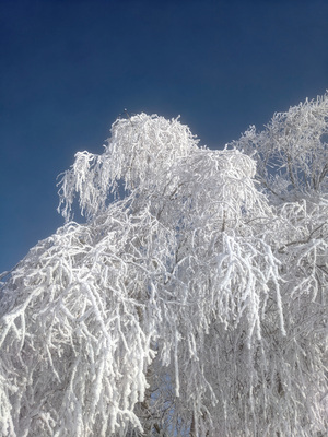 Winterbilder-0-11.jpeg (image/jpeg, 3771014 B)
