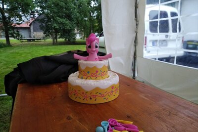 Derpyfest2018-IMG_20180610_0853343.jpg (image/jpeg, 117828 B)