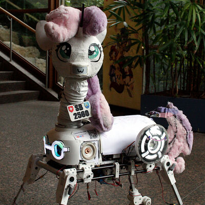 Sweetie Bot was there again. I heard they even had a panel there. Still have to look that up. I don't know if there are recordings from the smaller rooms. Sweetie Bot has changed since the last time I saw her. She did seem to be more reliable in the movements that she does. Or her controlling human had more experience. She can turn her head 360, show several emotions on her mouth display, wiggle, shake, nod her head, open up her back. The pistol with soap bubbles wasn't with her. But there's apparently plans for an improved version of it in the future.