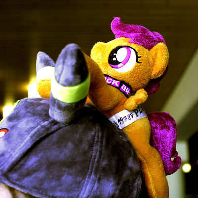 Scootaloo has the perfect colour scheme for a pony (or dragon), winged or otherwise).