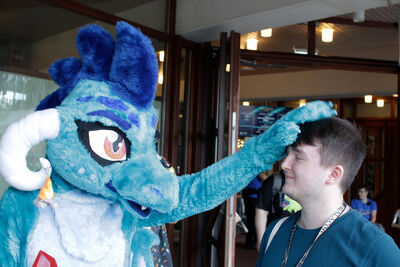 Best dragon costume again. Petting cute human.