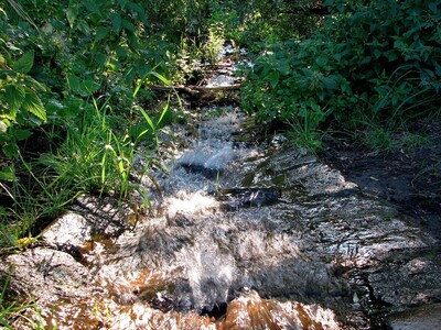 Landscapes-IMG_7487_b.JPG (image/jpeg, 1786958 B)