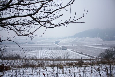 Landscapes-IMG_9316_b.JPG (image/jpeg, 2705398 B)