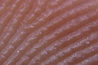 Macro Pictures-IMG_4429b.jpeg (image/jpeg, 141767 B)