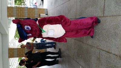 Ponies-20140803_114537.jpg (image/jpeg, 2106877 B)